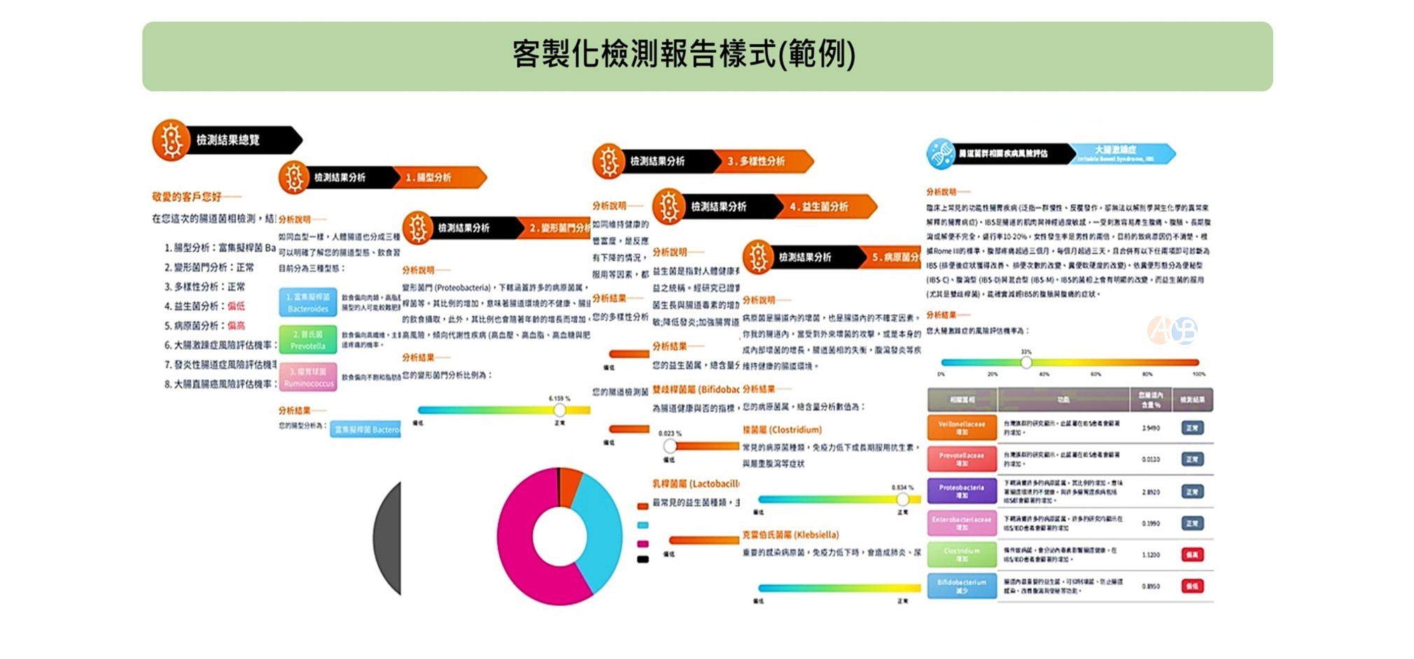 Colon Heal 腸道菌相檢測套組4